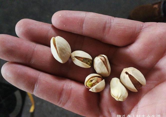 “乖媳妇”凤爪被曝用双氧水漂白，涉事企业多次出现食安问题