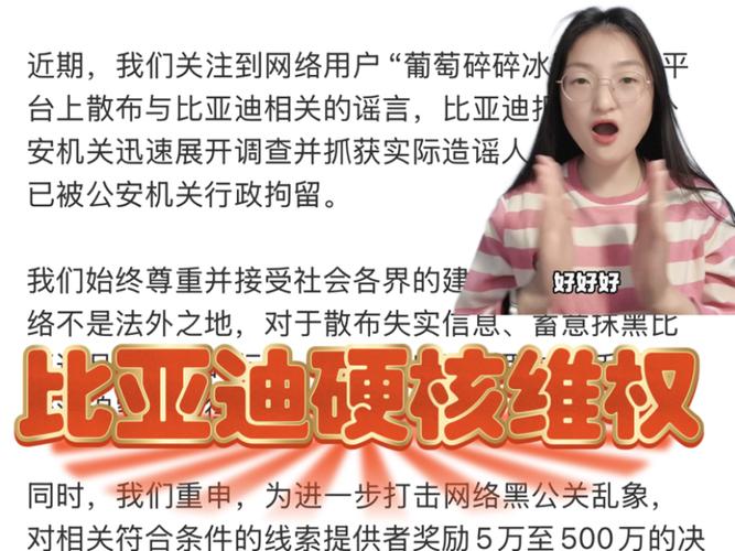 视频|比亚迪解决维权问题有多快？直接撕了！