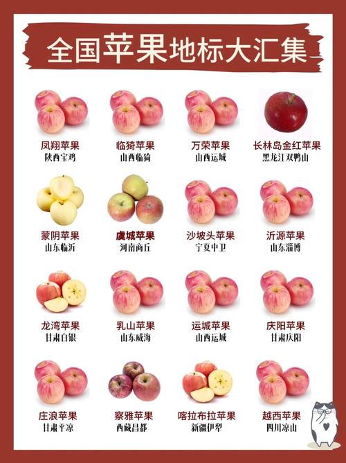 产区苹果价格上涨,主因好货供应偏紧