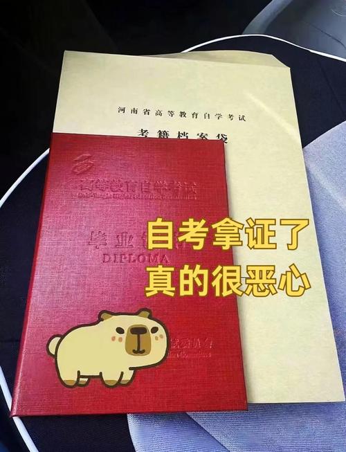 被自考本科坑了一辈子（自考本科会被骗吗）