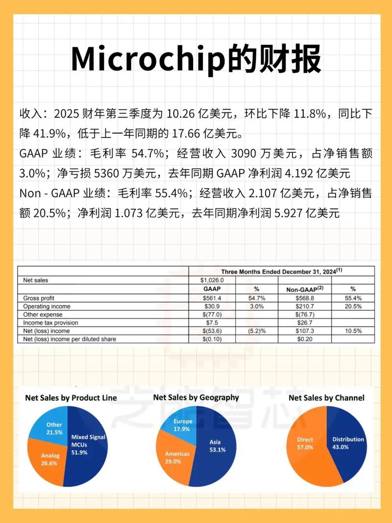 Semtech财报：喜忧参半的业绩与未来前景