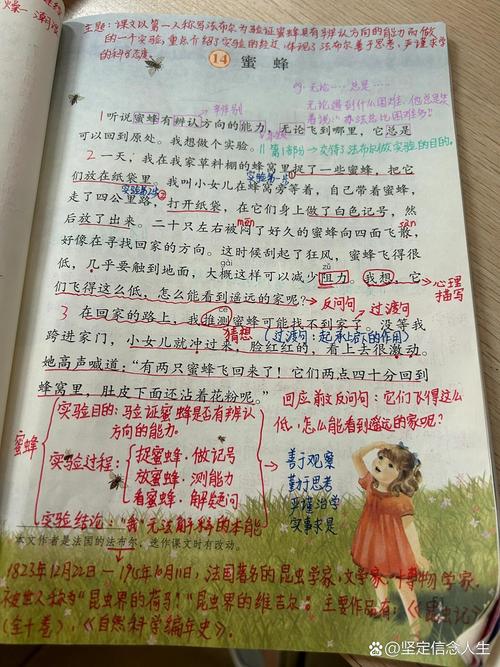 《华安固事》之三 | 吴文明做勤劳的蜜蜂，寻找确定性机会